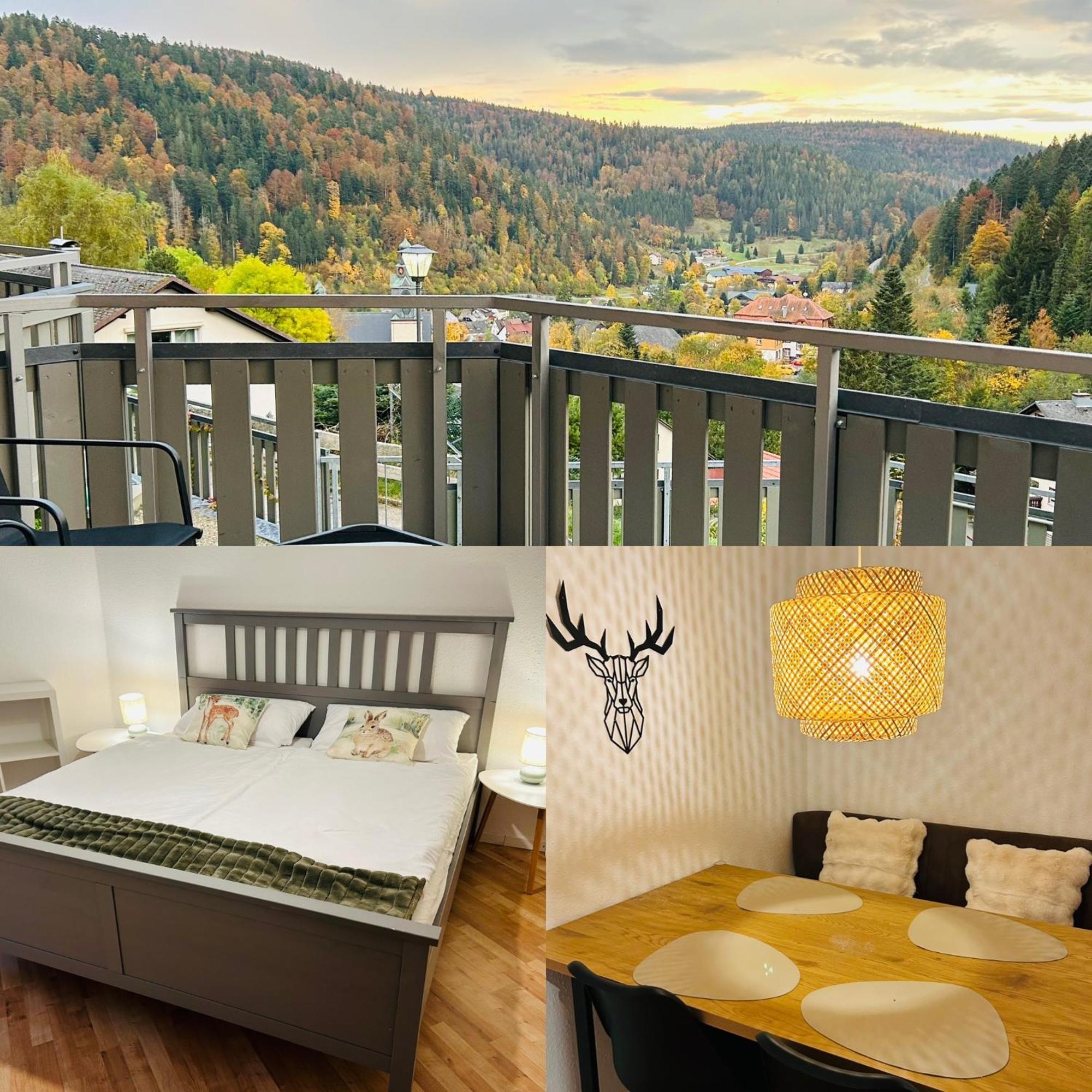 Ferienwohnung Panoramablick - Super Fuer Deine Familie Und Die Besten Aussicht In Ganz تودموس المظهر الخارجي الصورة