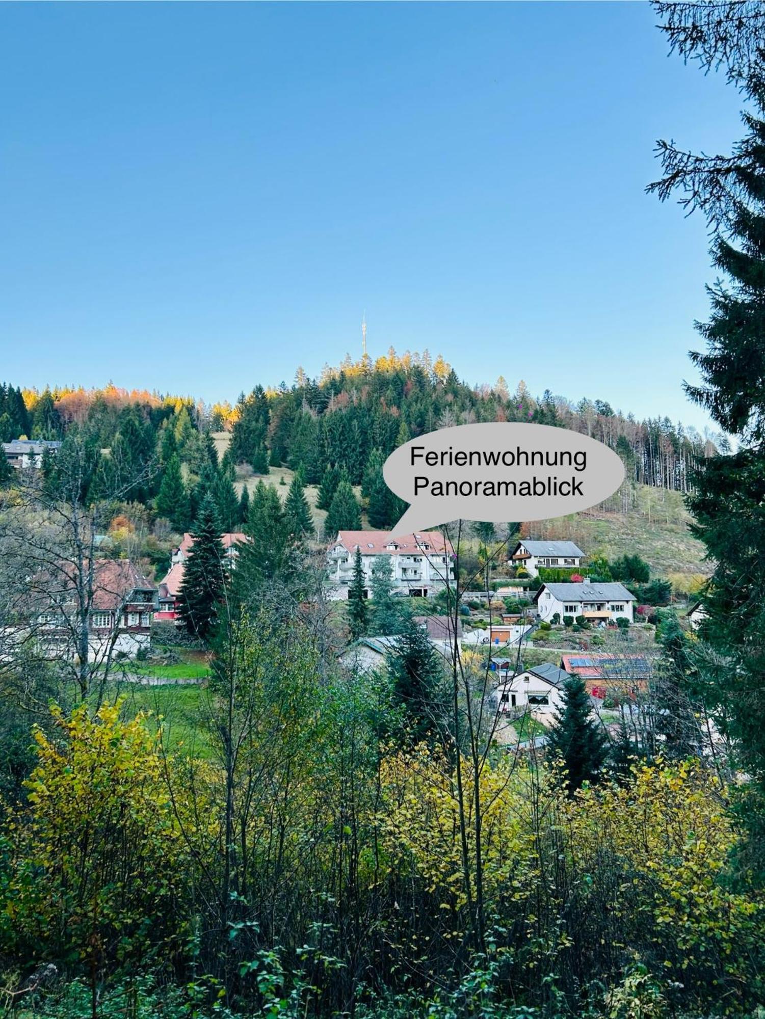 Ferienwohnung Panoramablick - Super Fuer Deine Familie Und Die Besten Aussicht In Ganz تودموس المظهر الخارجي الصورة