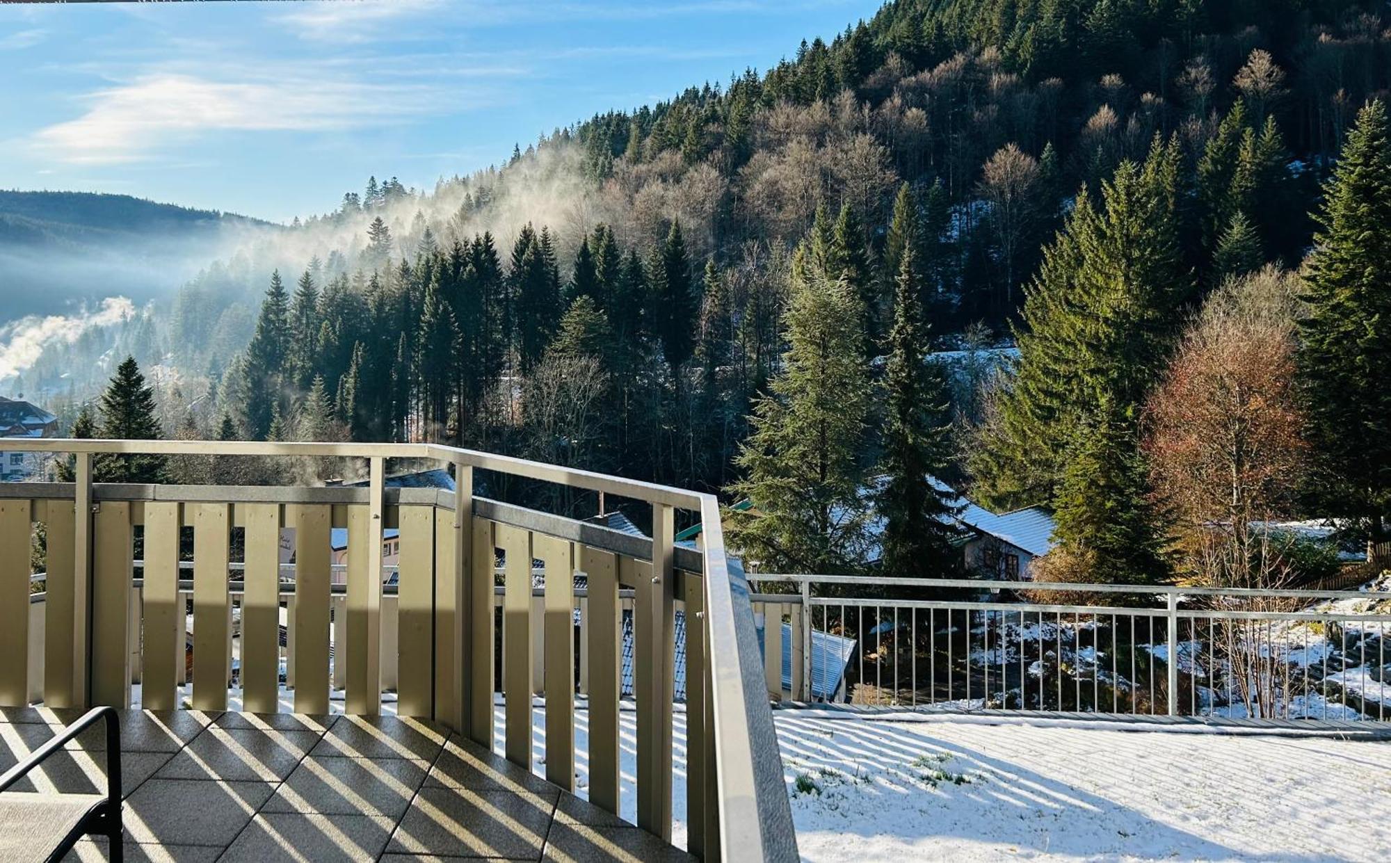 Ferienwohnung Panoramablick - Super Fuer Deine Familie Und Die Besten Aussicht In Ganz تودموس المظهر الخارجي الصورة